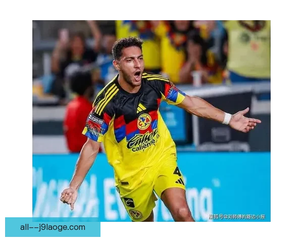 2025年夏季转会窗口：里尔引进意甲前锋补强进攻阵容